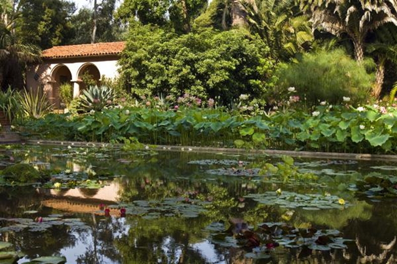 Lotuland